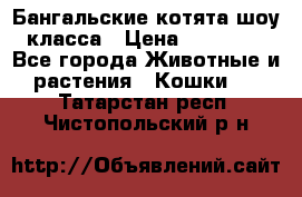 Бангальские котята шоу класса › Цена ­ 25 000 - Все города Животные и растения » Кошки   . Татарстан респ.,Чистопольский р-н